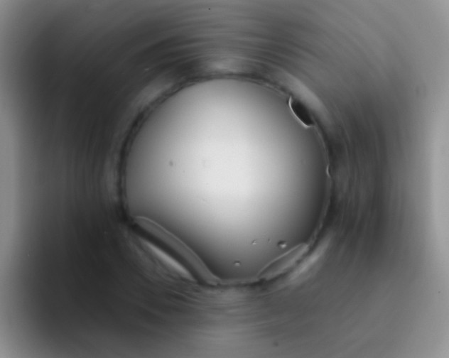 X0000092080930200709262101