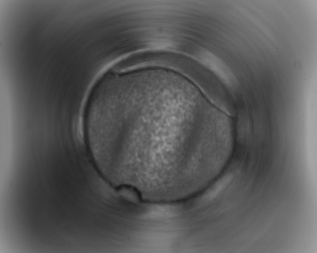X0000092080932200709262101