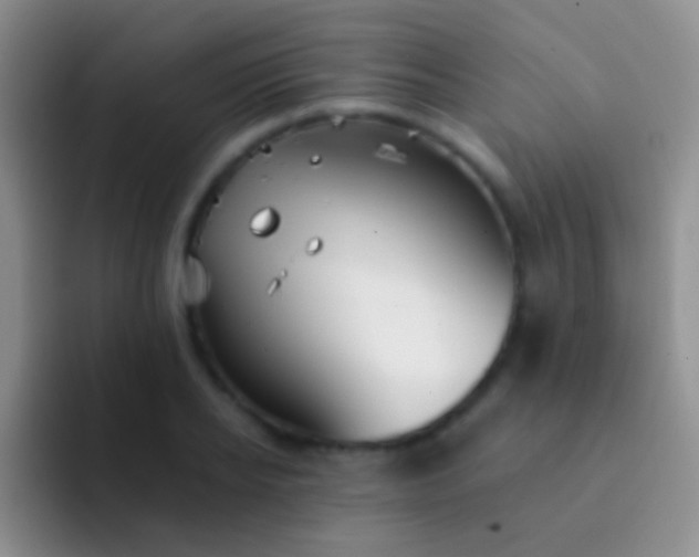 X0000092080934200709262101
