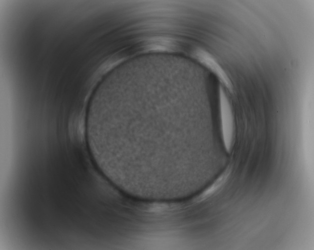 X0000092080938200709262101