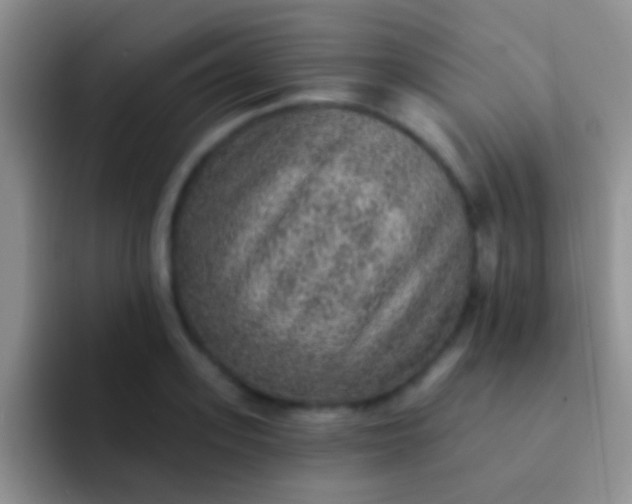 X0000092080939200709262101