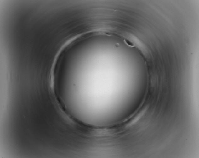 X0000092080940200709262101