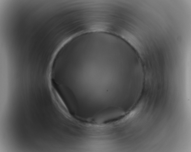 X0000092080941200709262101