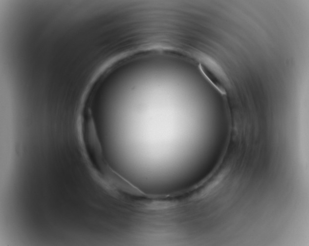 X0000092080942200709262101