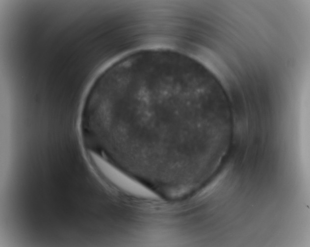 X0000092080943200709262101