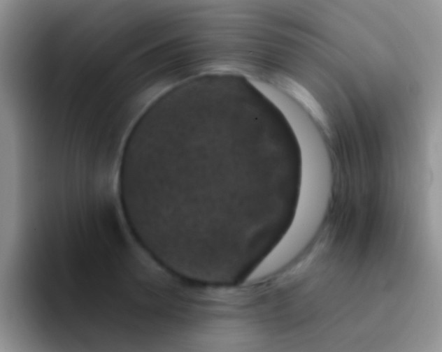 X0000092080946200709262101