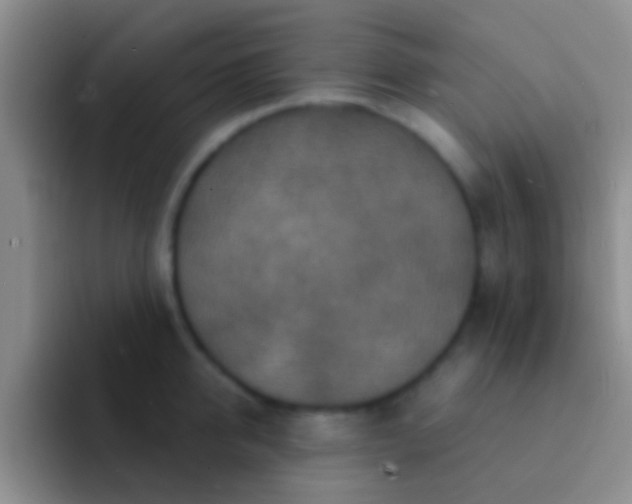X0000092080950200709262101