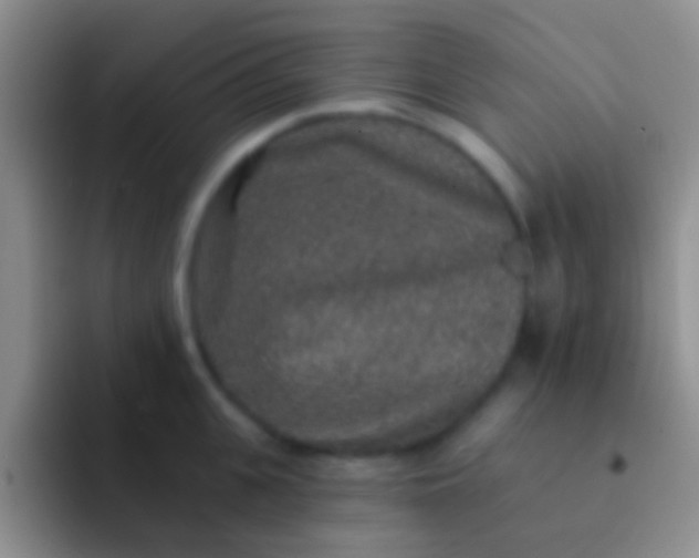 X0000092080951200709262102