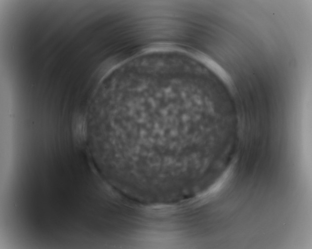 X0000092080953200709262102