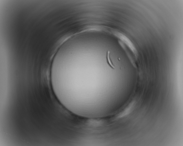 X0000092080954200709262102
