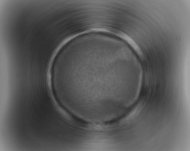 X0000092080955200709262102
