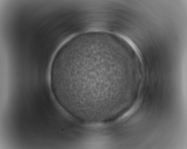 X0000092080957200709262102