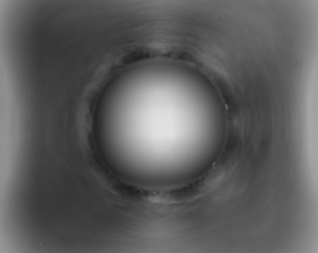 X0000092080961200709262101