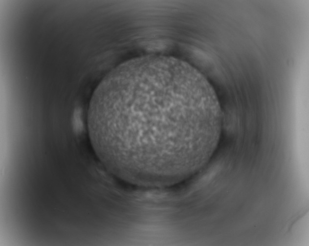 X0000092080962200709262101