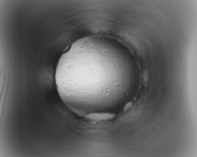 X0000092080963200709262101