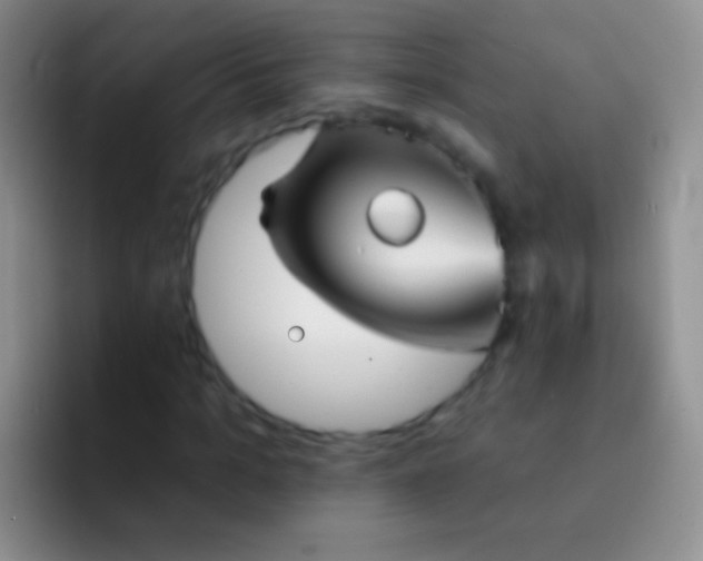 X0000092080965200709262101