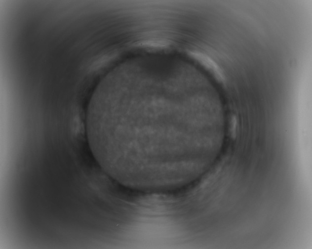 X0000092080966200709262101
