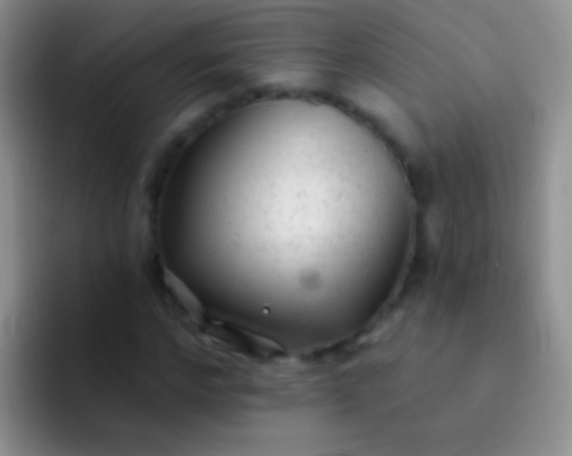 X0000092080968200709262101