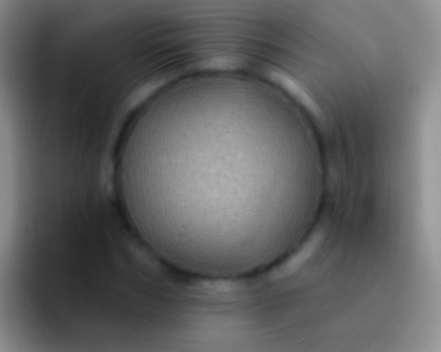 X0000092080970200709262101