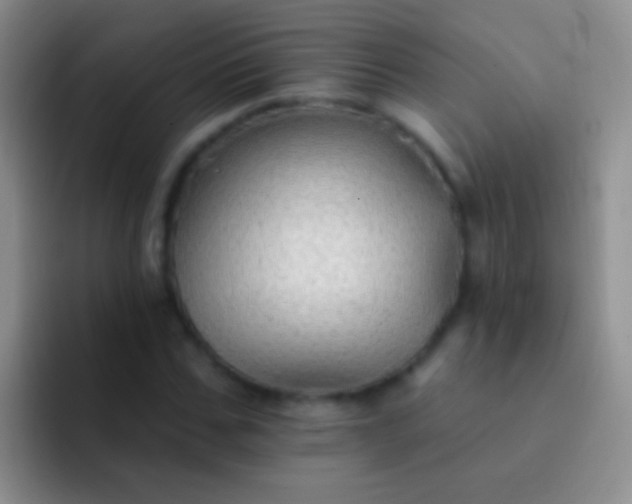X0000092080971200709262101