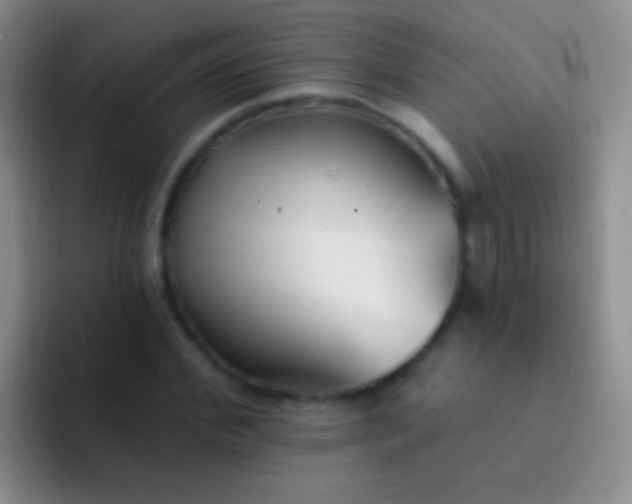 X0000092080972200709262101