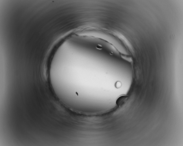 X0000092080973200709262101