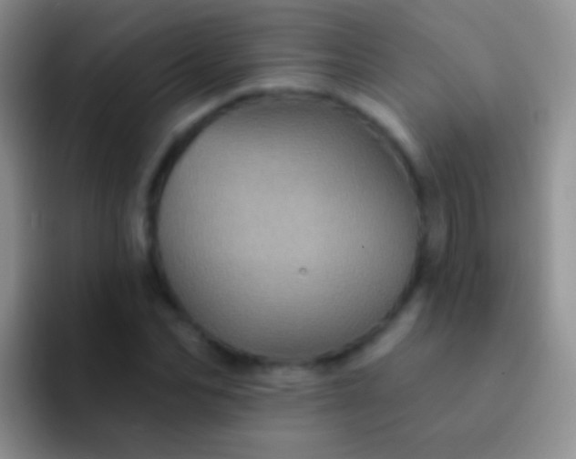 X0000092080974200709262101