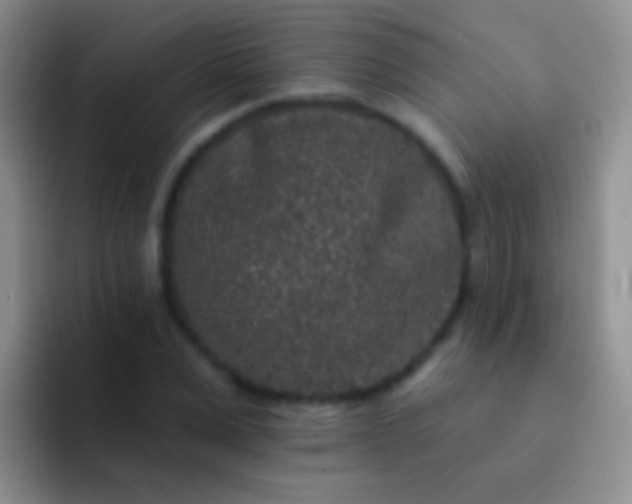 X0000092080975200709262101