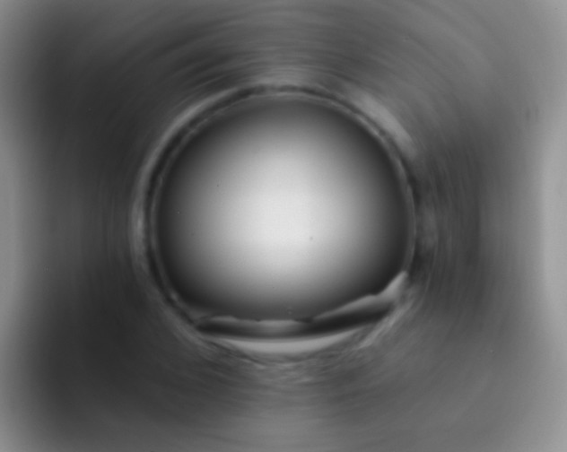 X0000092080976200709262101
