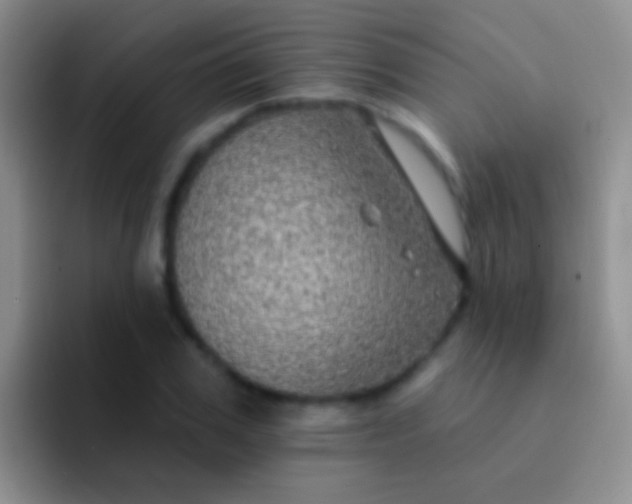 X0000092080979200709262101