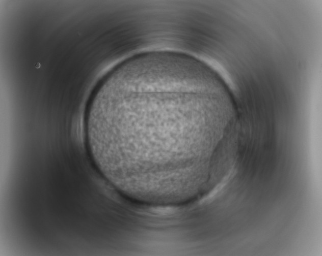X0000092080982200709262101
