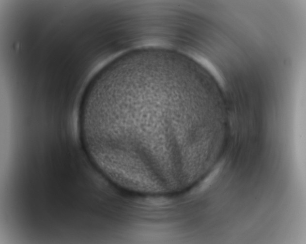 X0000092080983200709262101