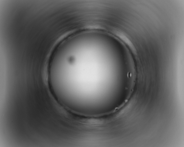 X0000092080984200709262101