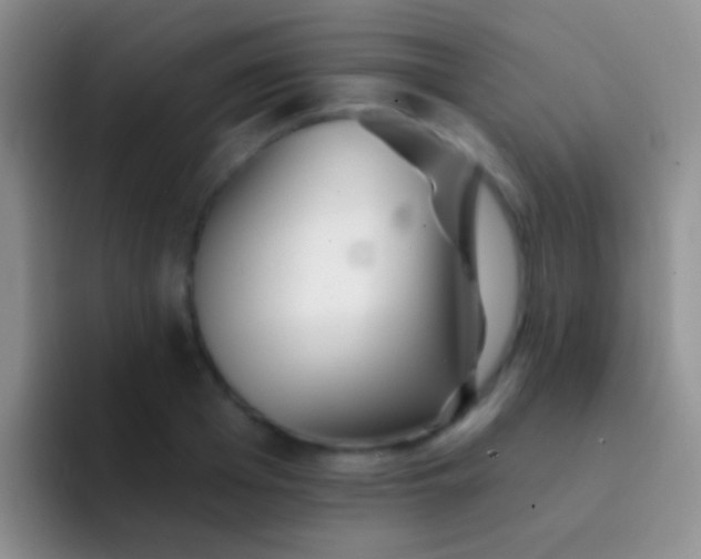 X0000092080985200709262101