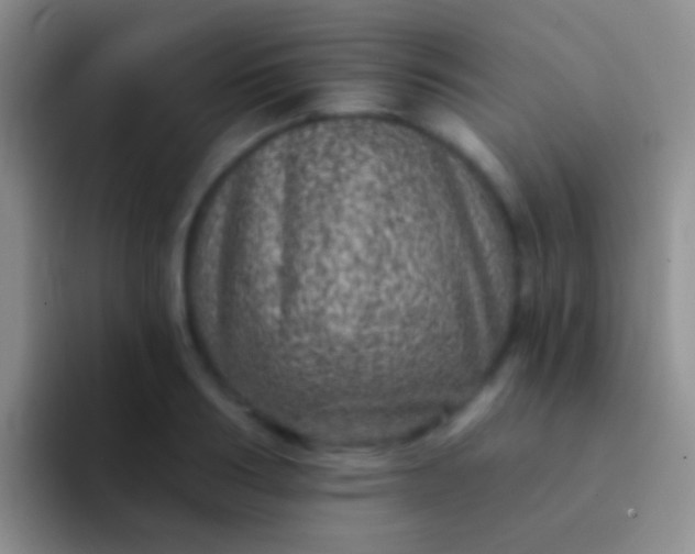 X0000092080986200709262101