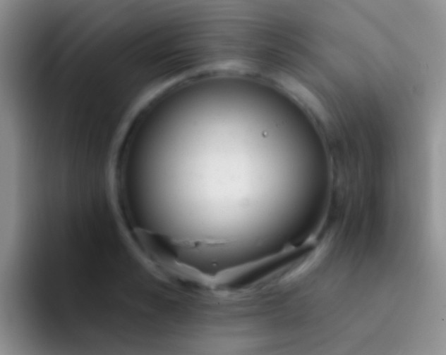 X0000092080989200709262101