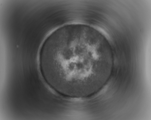 X0000092080990200709262101