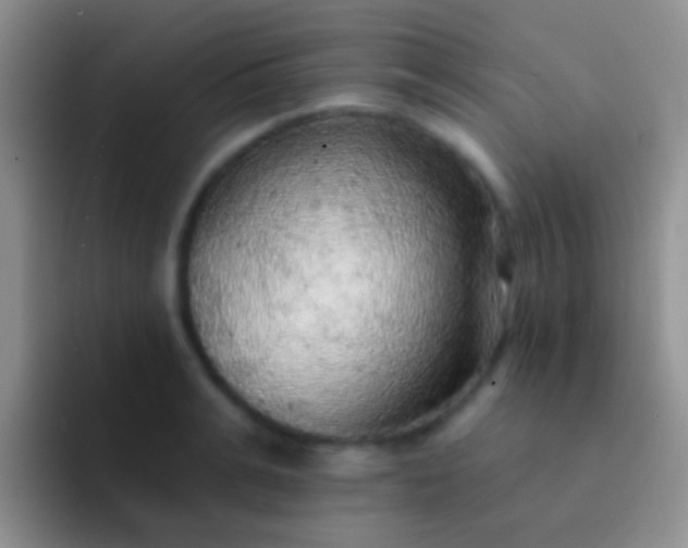 X0000092080991200709262101