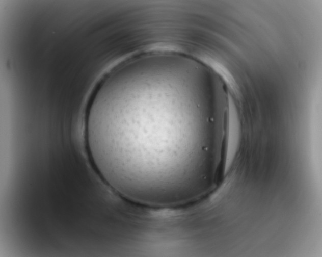 X0000092080992200709262101