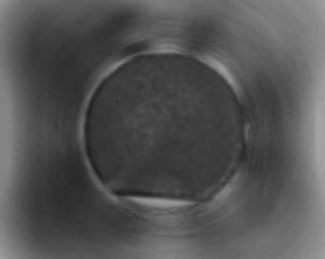 X0000092080995200709262101