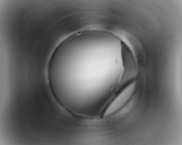 X0000092080997200709262101