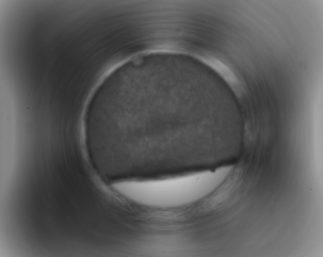 X0000092080998200709262101