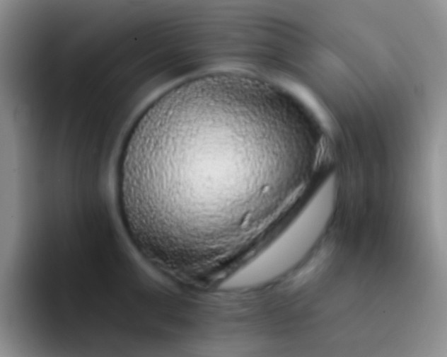 X0000092080999200709262101