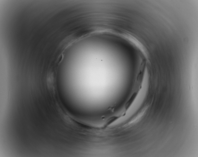 X0000092081001200709262101