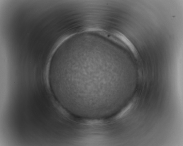 X0000092081002200709262101