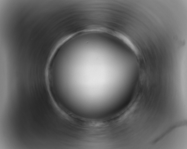 X0000092081003200709262101