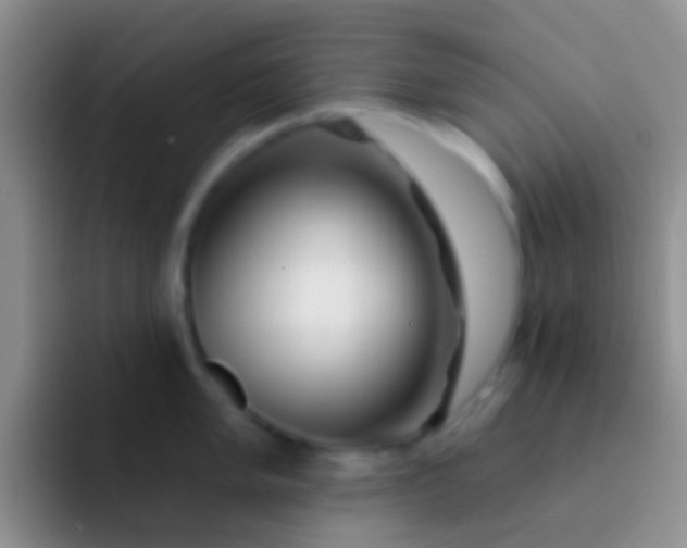 X0000092081005200709262101