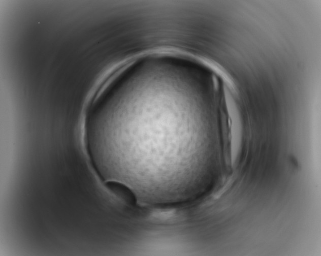 X0000092081006200709262101