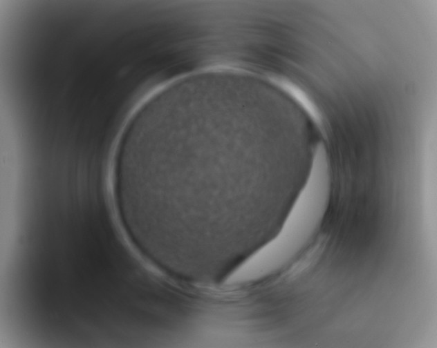X0000092081007200709262101
