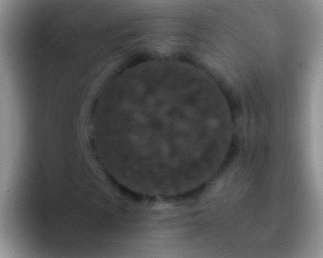 X0000092081009200709262100